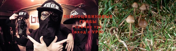 МДПВ Алексин